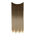 Brown to Ash Blonde Straight Halo